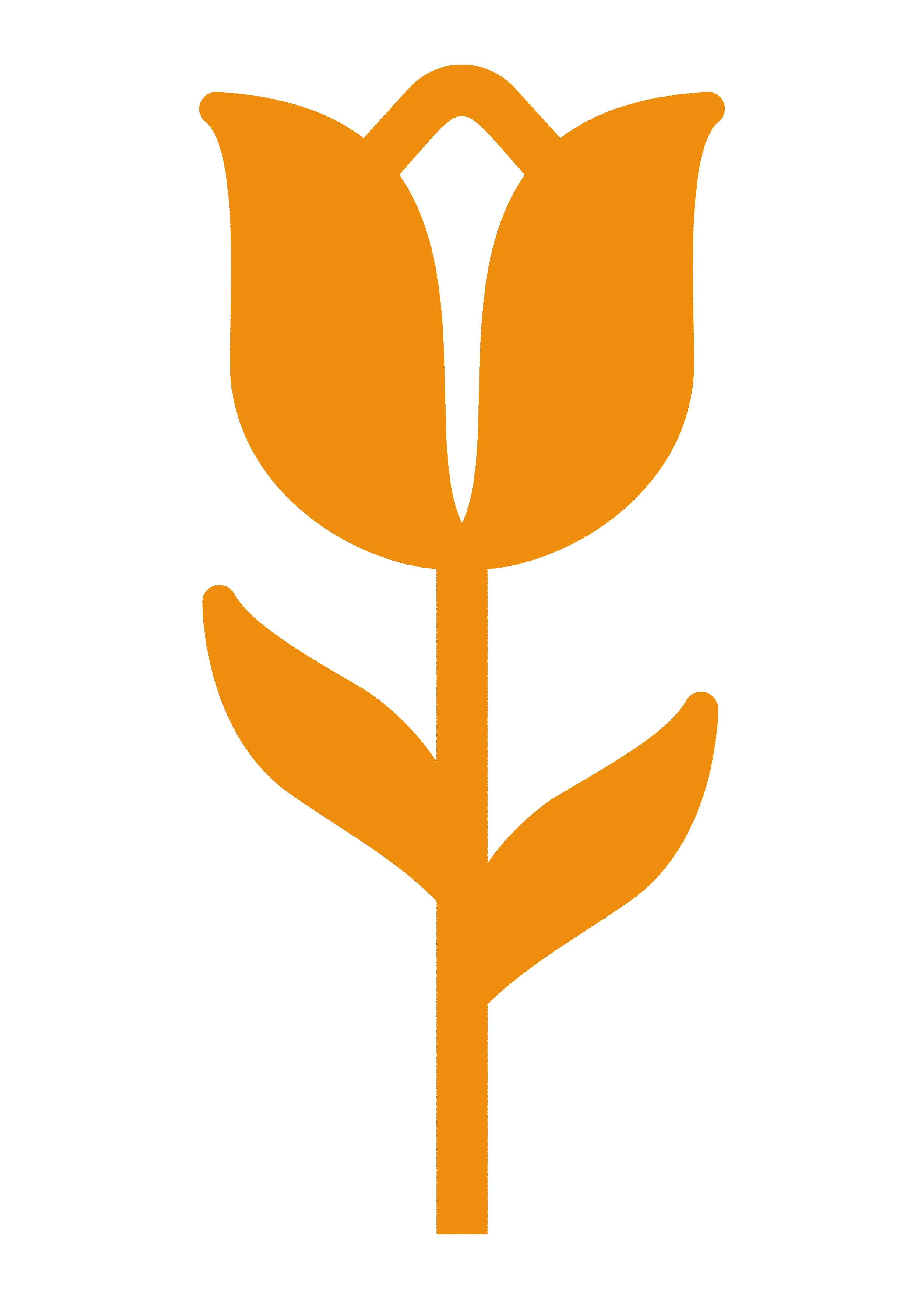 WebDamien